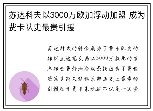 苏达科夫以3000万欧加浮动加盟 成为费卡队史最贵引援